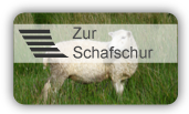 Pourika EGD - hochwertige Scheren für Schafe scheren